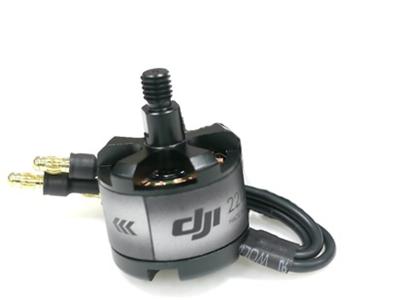 DJI 2212 920KV CW Brushless Motor